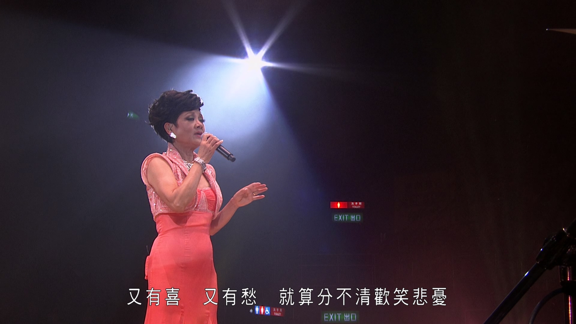 [115ed2k] [叶丽仪45年香港情演唱会][伴奏DD2.0/原盘繁英SUP字幕/章节歌曲][BluRay.1080p.2Audio.DTS-HD.MA.5.1.x265.10bit][MKV/20.9G]
