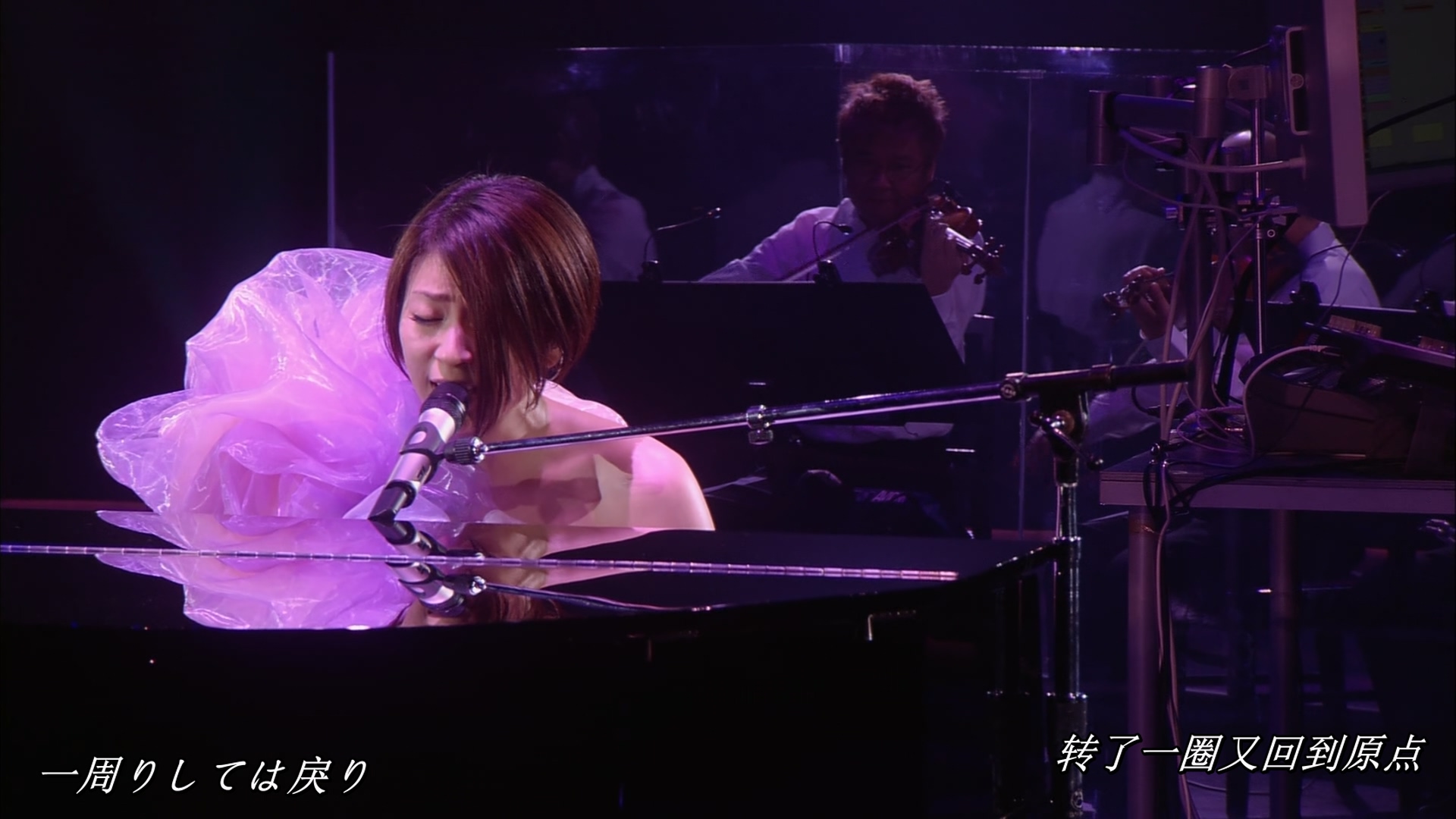 [115ed2k] [宇多田光2010暂别歌坛演唱会][章节曲目/繁简中日双语字幕 ][BluRay.1080p.x265.10bit][MKV/7.82G]