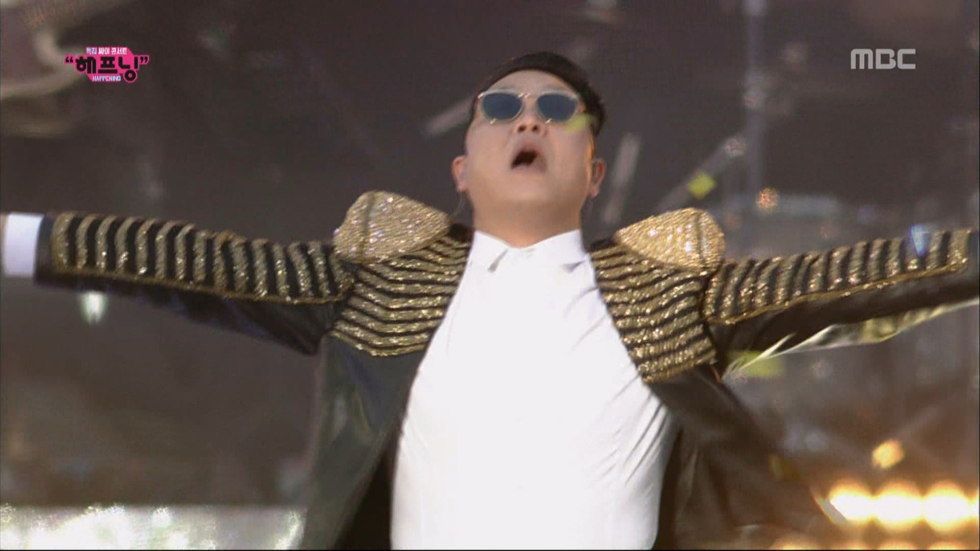 [115ed2k] [鸟叔 2013首尔演唱会/PSY CONCERT HAPPENING 2013][ISO/20.17G]