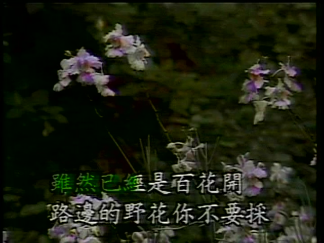 [115ed2k] [邓丽君卡拉OK][ISO/3.87G]