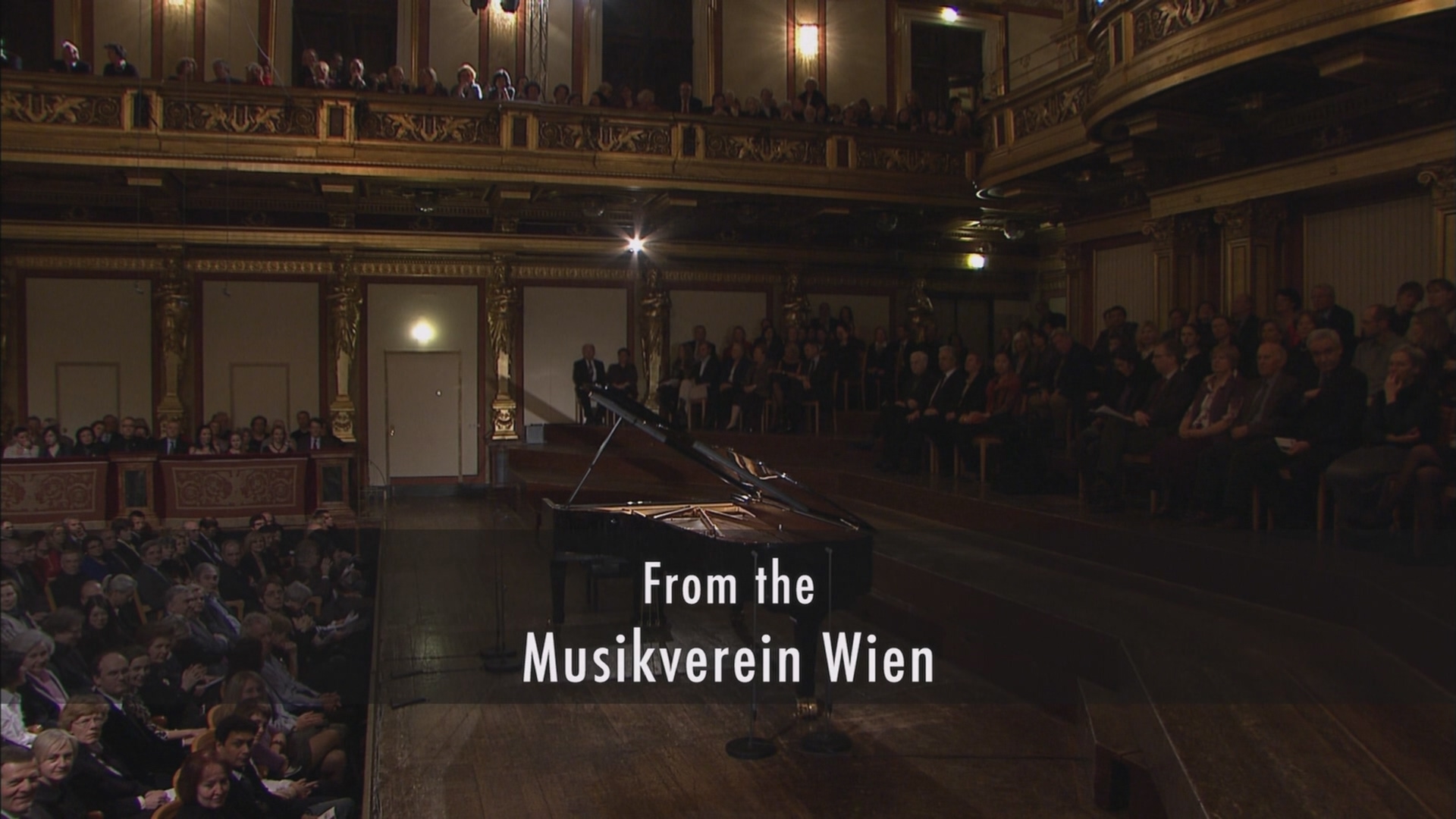 [115ed2k] [朗朗2010维也纳独奏音乐会 2D+3D Lang Lang Live in Vienna 2010][ISO/38.9G]