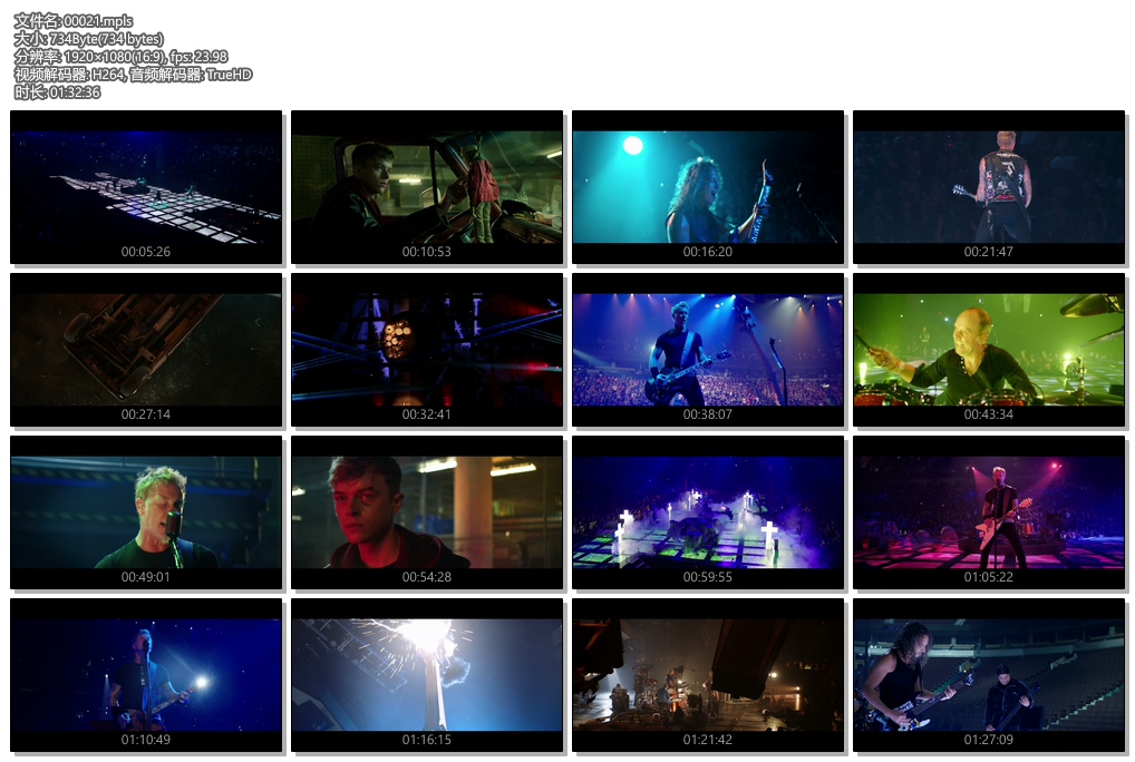 [115ed2k] [金属乐队 穿越永恒演唱会 德国终极版蓝光3D Metallica Through the Never 2013][ISO/41.06G]