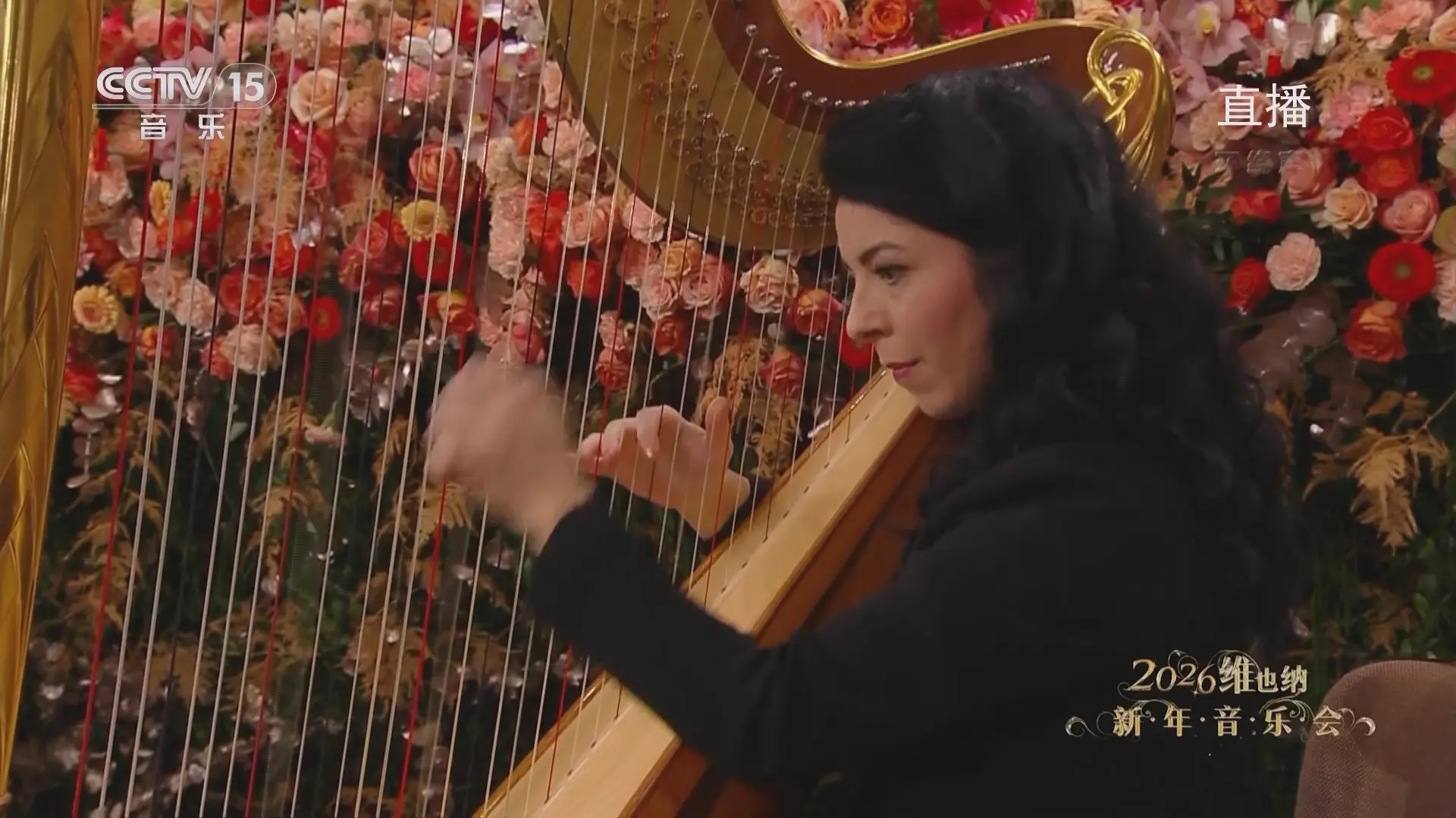 [115ed2k] [中央电视台音乐频道 2026年维也纳新年音乐会][1080i.HDTV.AVC.DD5.1-][TS/18.30 GiB]