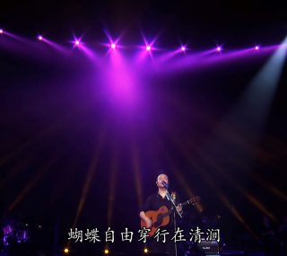 [115ed2k] [许巍 – 2015 此时此刻演唱会 北京站][原盘繁简SUP字幕/章节][BluRay.1080p.DTS-HD.MA.5.1.Flac.x265.10bit][MKV/12.36G]