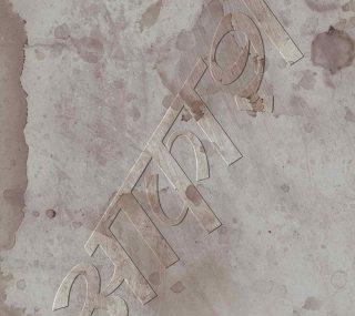 [115ed2k] [椎名林檎 真空地带演唱会][Blu-Ray 1080p AVC DTS-HD MA 5.1][ISO/28.49G]