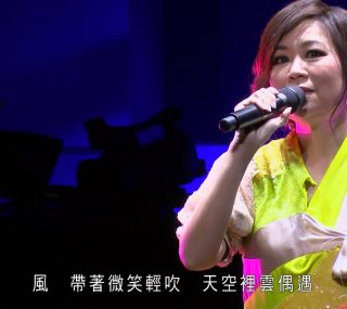 [115ed2k] [2015林志美音乐会 ][伴奏DD2.0/原盘繁SUP字幕/章节歌曲][BluRay.1080p.2Audio.DTS-HD.MA.5.1.x265.10bit][MKV/20.78G]