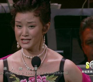 [115ed2k] [宋祖英2006美国肯尼迪艺术中心独唱音乐会][中英硬字幕/章节歌名][BluRay.1080p.x265.10bit][MKV/7.93G]