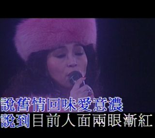 [115ed2k] [1989金光灿烂徐小凤演唱会][双音轨卡拉OK版][ISO/4.79G]